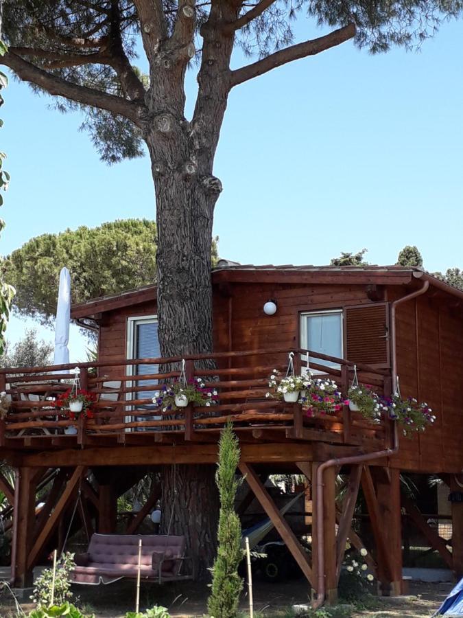 Il Vivaio Villa Tarquinia Exteriör bild
