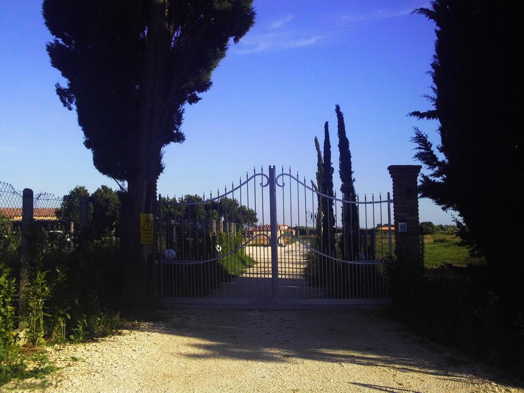 Il Vivaio Villa Tarquinia Rum bild