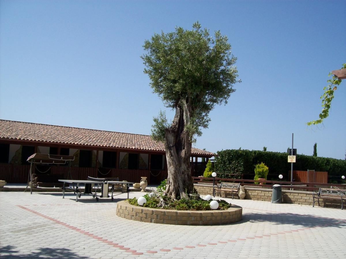 Il Vivaio Villa Tarquinia Exteriör bild