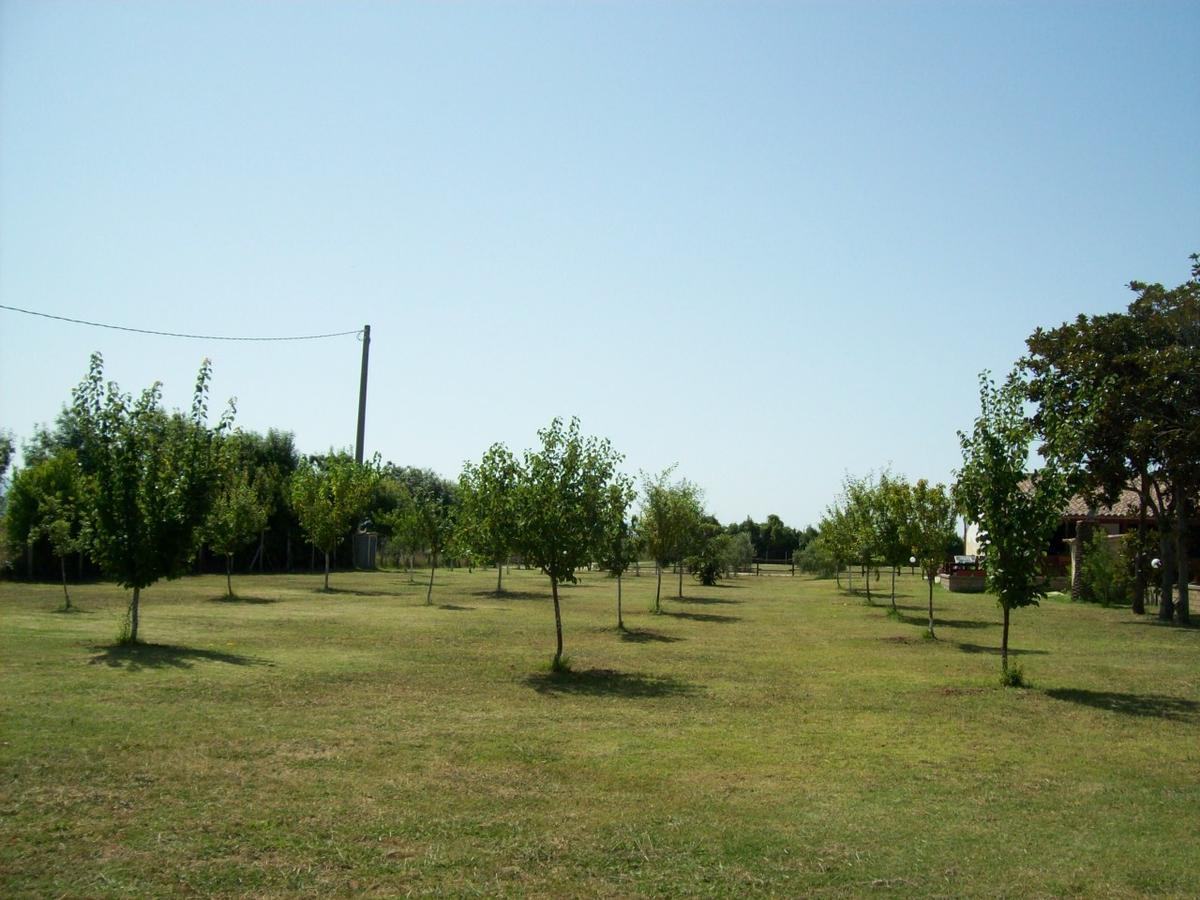 Il Vivaio Villa Tarquinia Exteriör bild