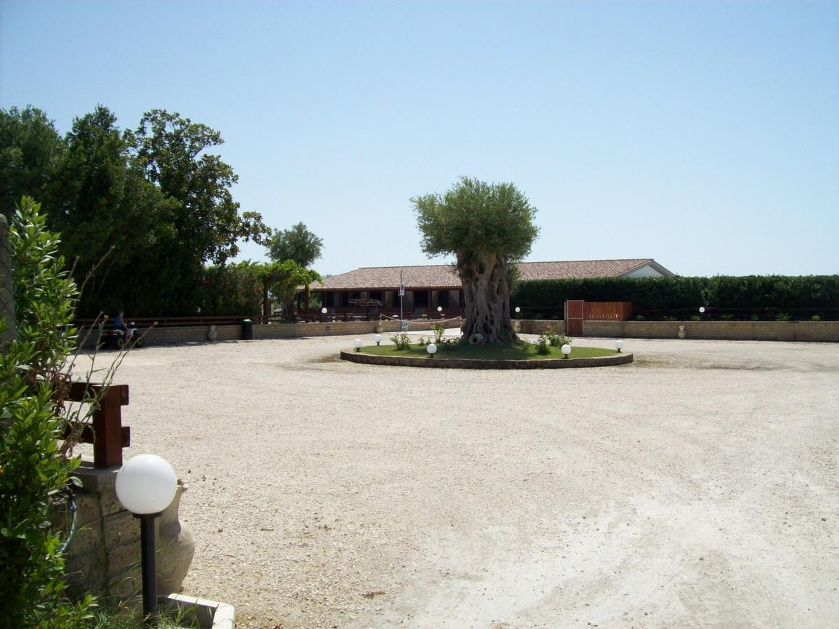 Il Vivaio Villa Tarquinia Exteriör bild