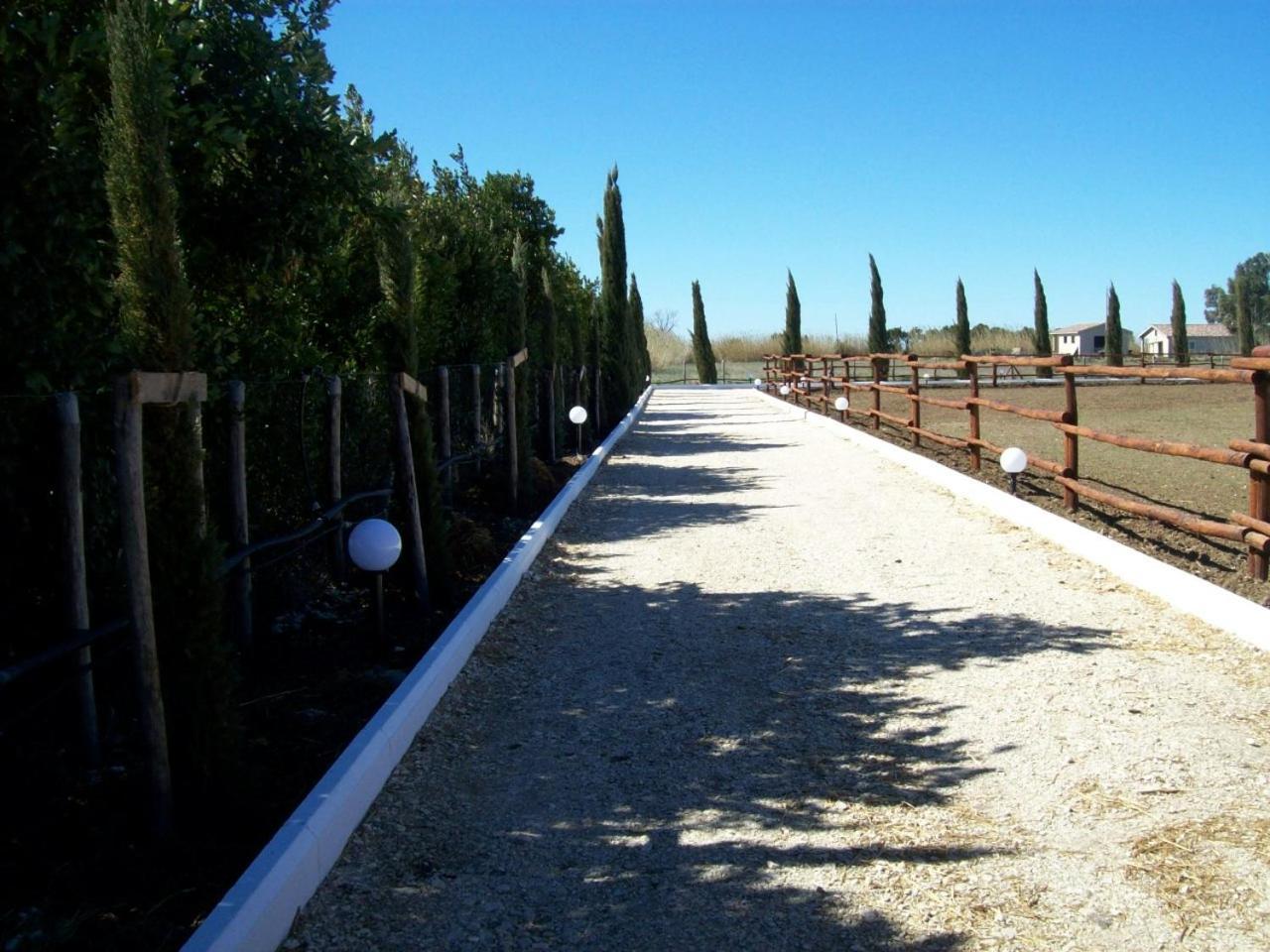 Il Vivaio Villa Tarquinia Exteriör bild